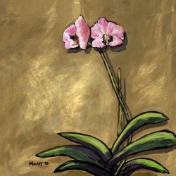 ORCHID ON KHAKI
